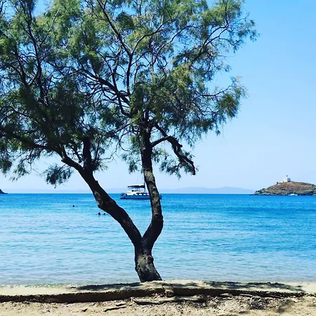 Διαμέρισμα Enalia *